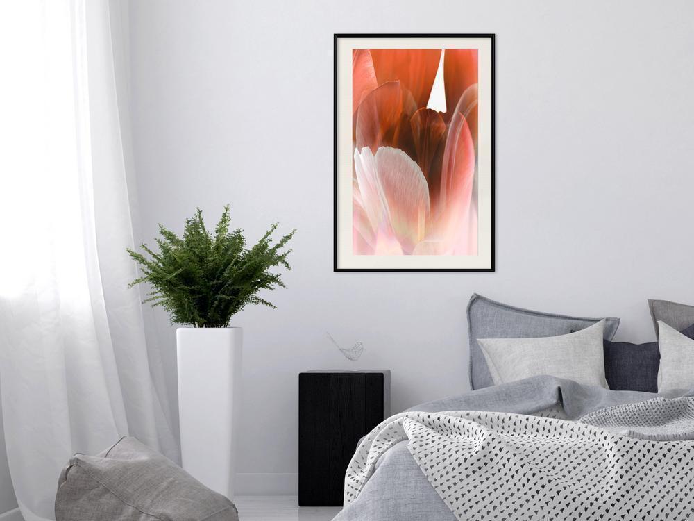 Botanical Wall Art - Tulip Petals-artwork for wall with acrylic glass protection