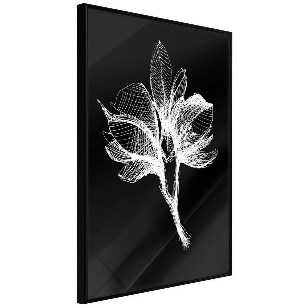 Botanical Wall Art - White Plant-artwork for wall with acrylic glass protection