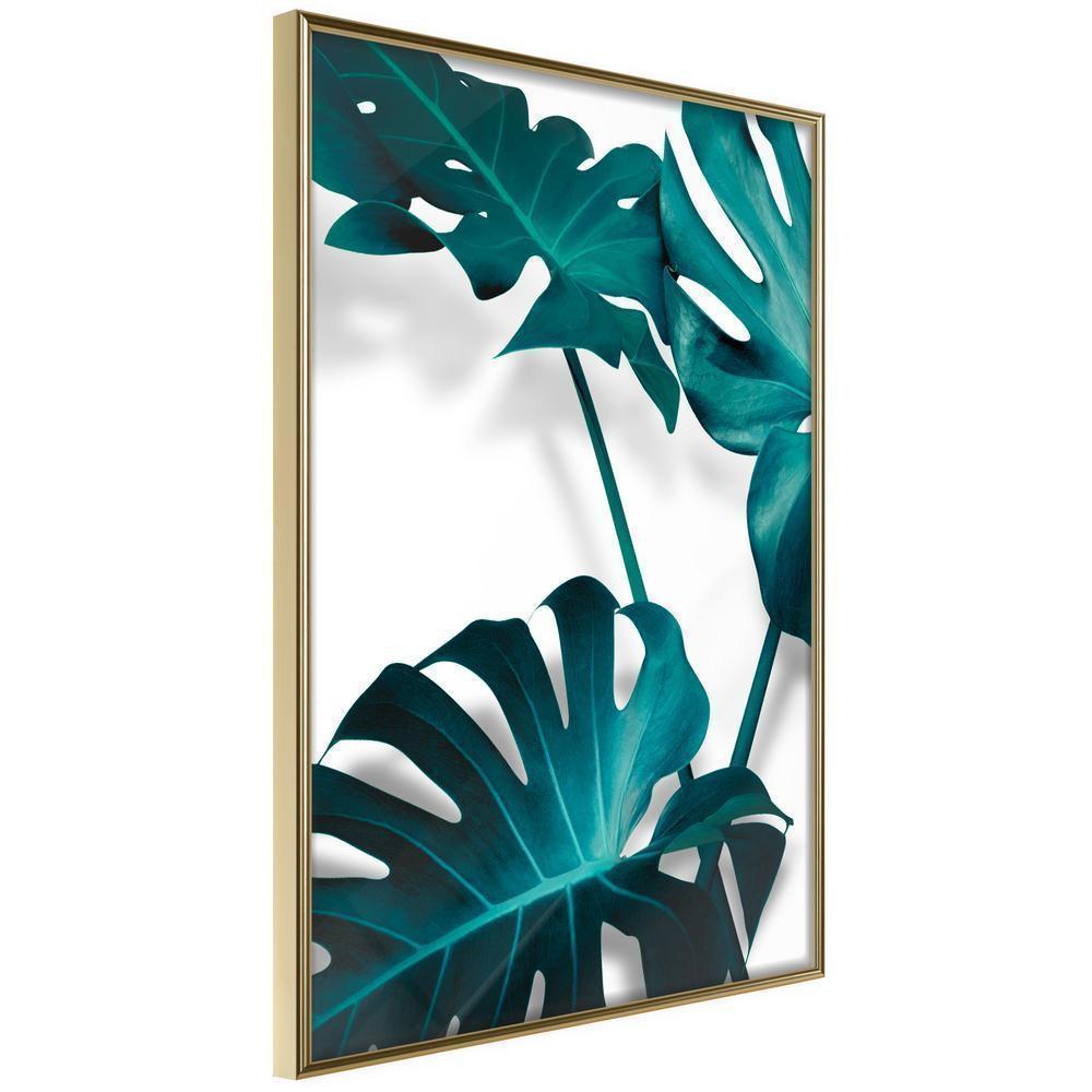 Botanical Wall Art - Turquoise Monstera II-artwork for wall with acrylic glass protection