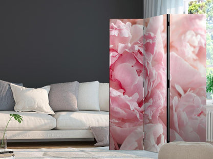 Room Divider - Sweet Peonies