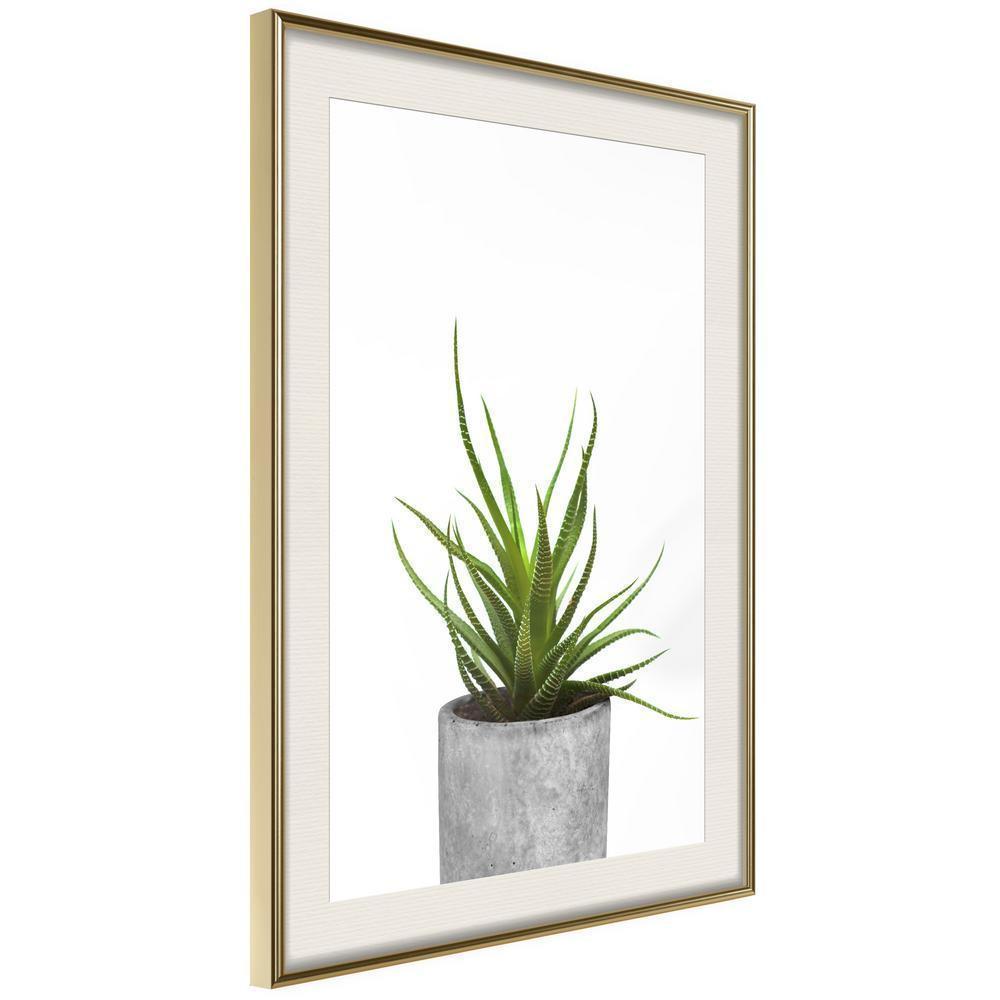 Botanical Wall Art - Piece of Nature I-artwork for wall with acrylic glass protection