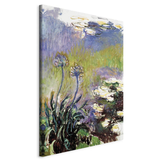 Canvas Print - Agapanthus