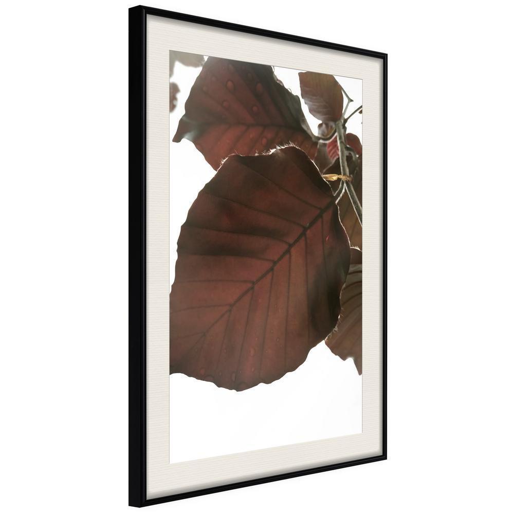 Autumn Framed Poster - Burgundy Tilia Leaf-artwork for wall with acrylic glass protection