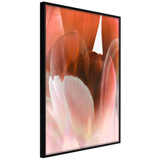 Botanical Wall Art - Tulip Petals-artwork for wall with acrylic glass protection