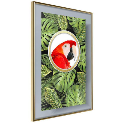 Botanical Wall Art - Parrot Says Hi-artwork for wall with acrylic glass protection