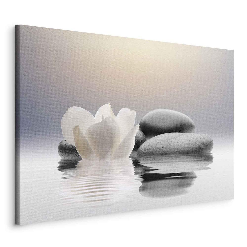 Canvas Print - Garden of Calm