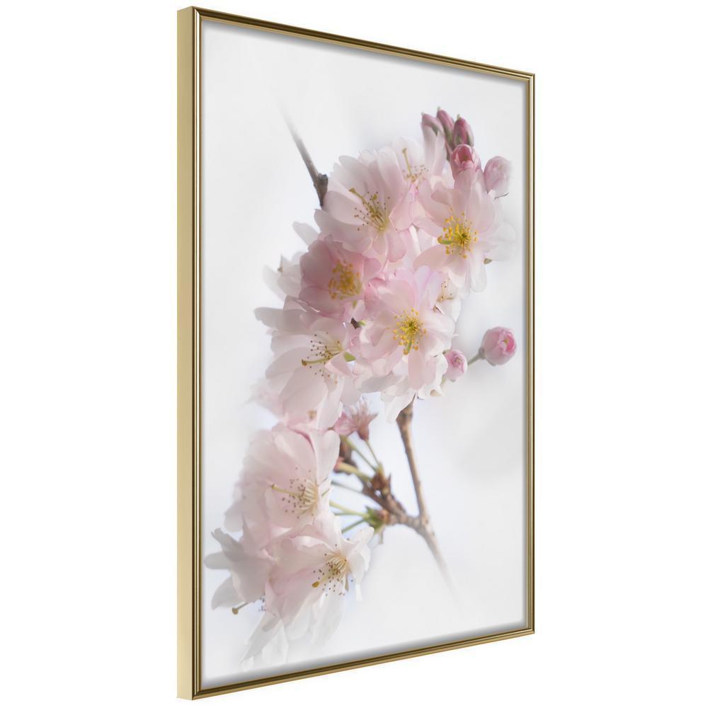 Botanical Wall Art - Scent of Spring-artwork for wall with acrylic glass protection