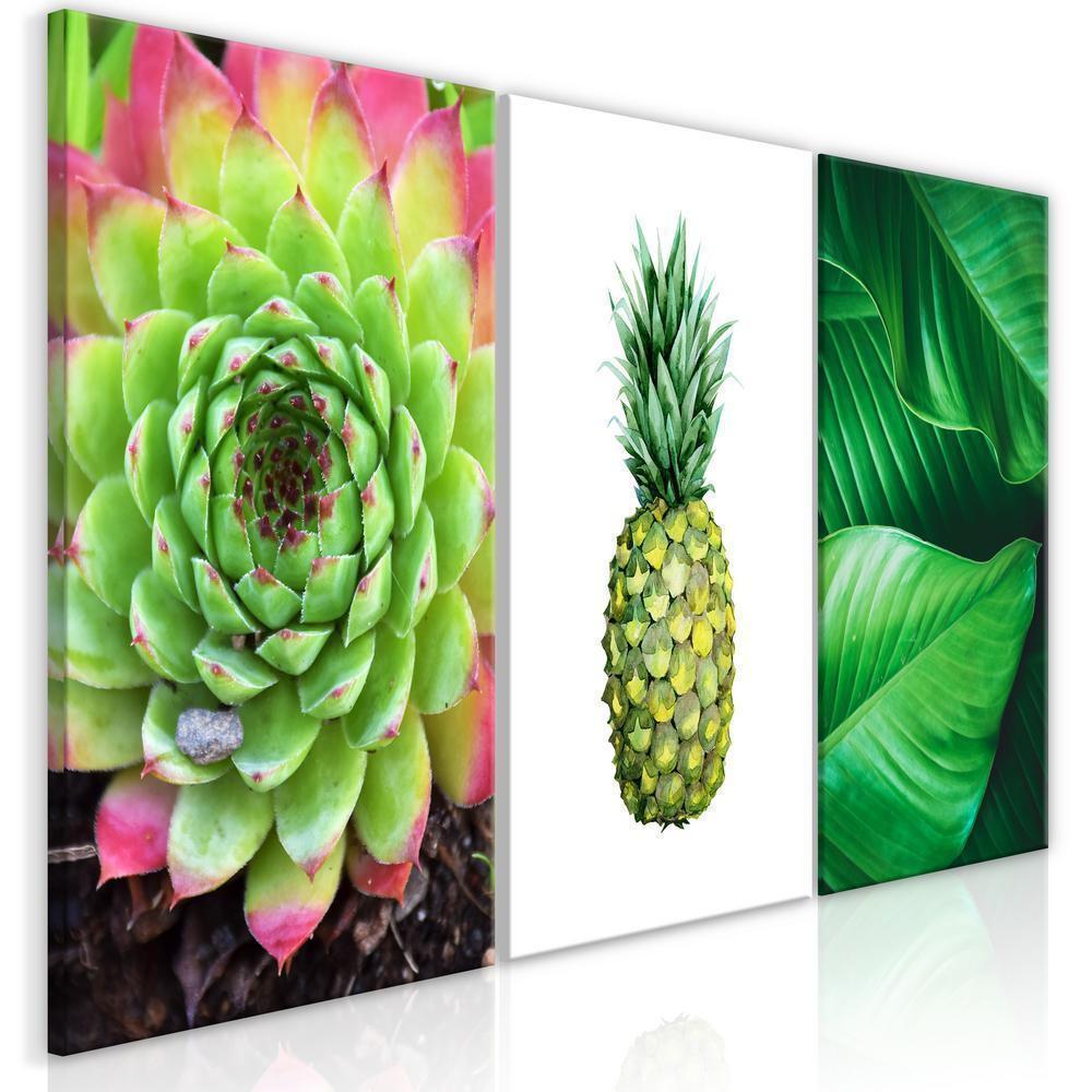 Canvas Print - Treasures of the Tropics (3 Parts)-ArtfulPrivacy-Wall Art Collection