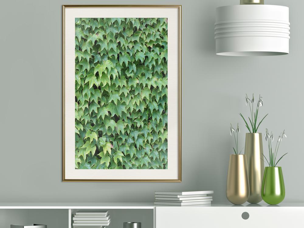 Botanical Wall Art - Hidden-artwork for wall with acrylic glass protection