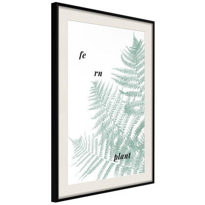 Botanical Wall Art - Pale Green Fern-artwork for wall with acrylic glass protection