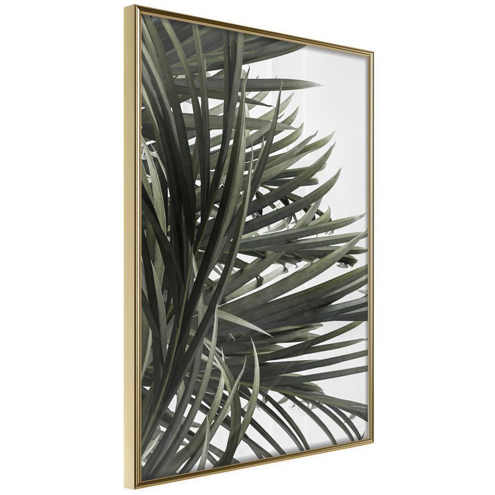 Botanical Wall Art - Little Tropics-artwork for wall with acrylic glass protection