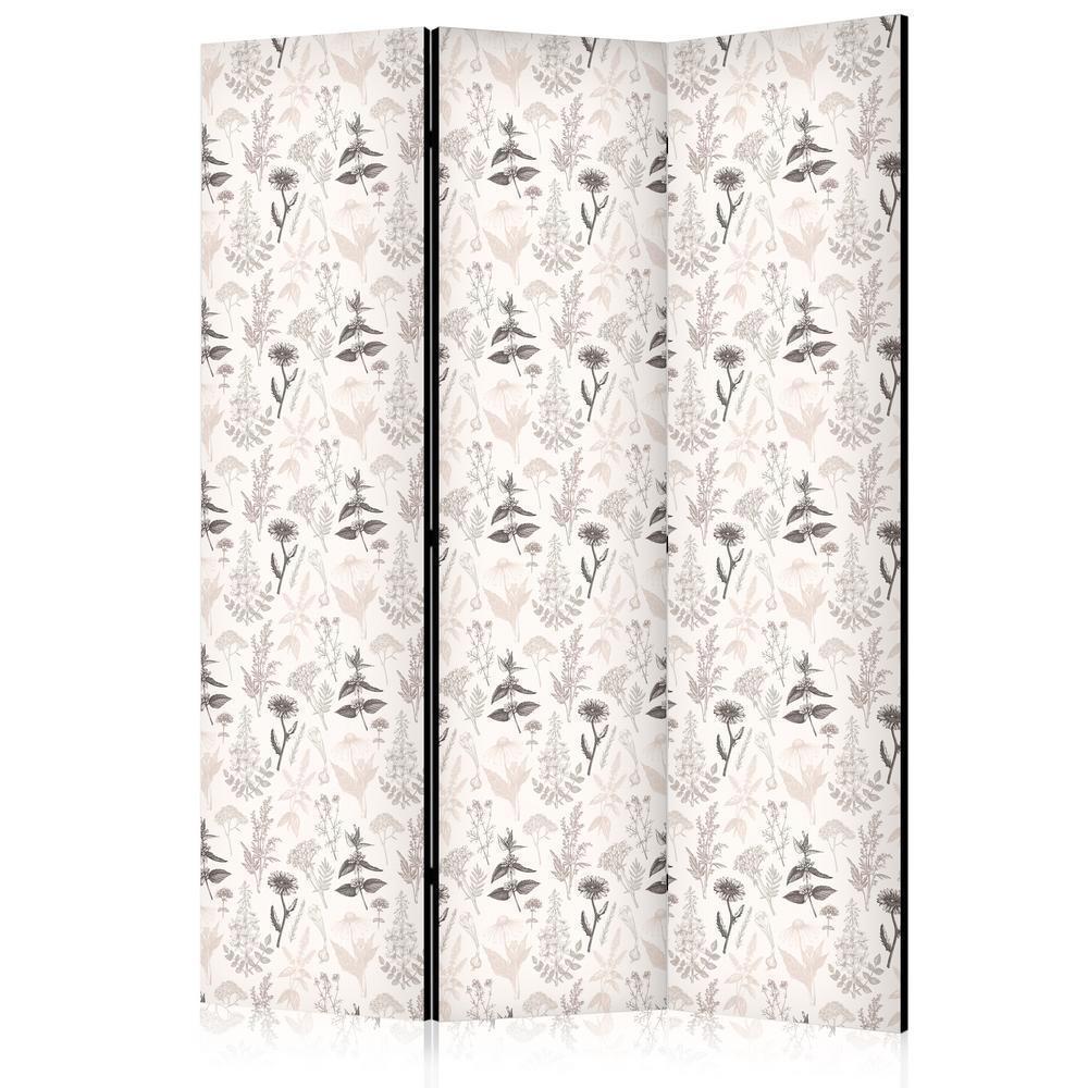 Room Divider - Botanical Illustration - Drawing of Flowers and Herbs - Beige Grays