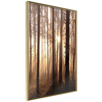 Autumn Framed Poster - Morning in the Forest-artwork for wall with acrylic glass protection