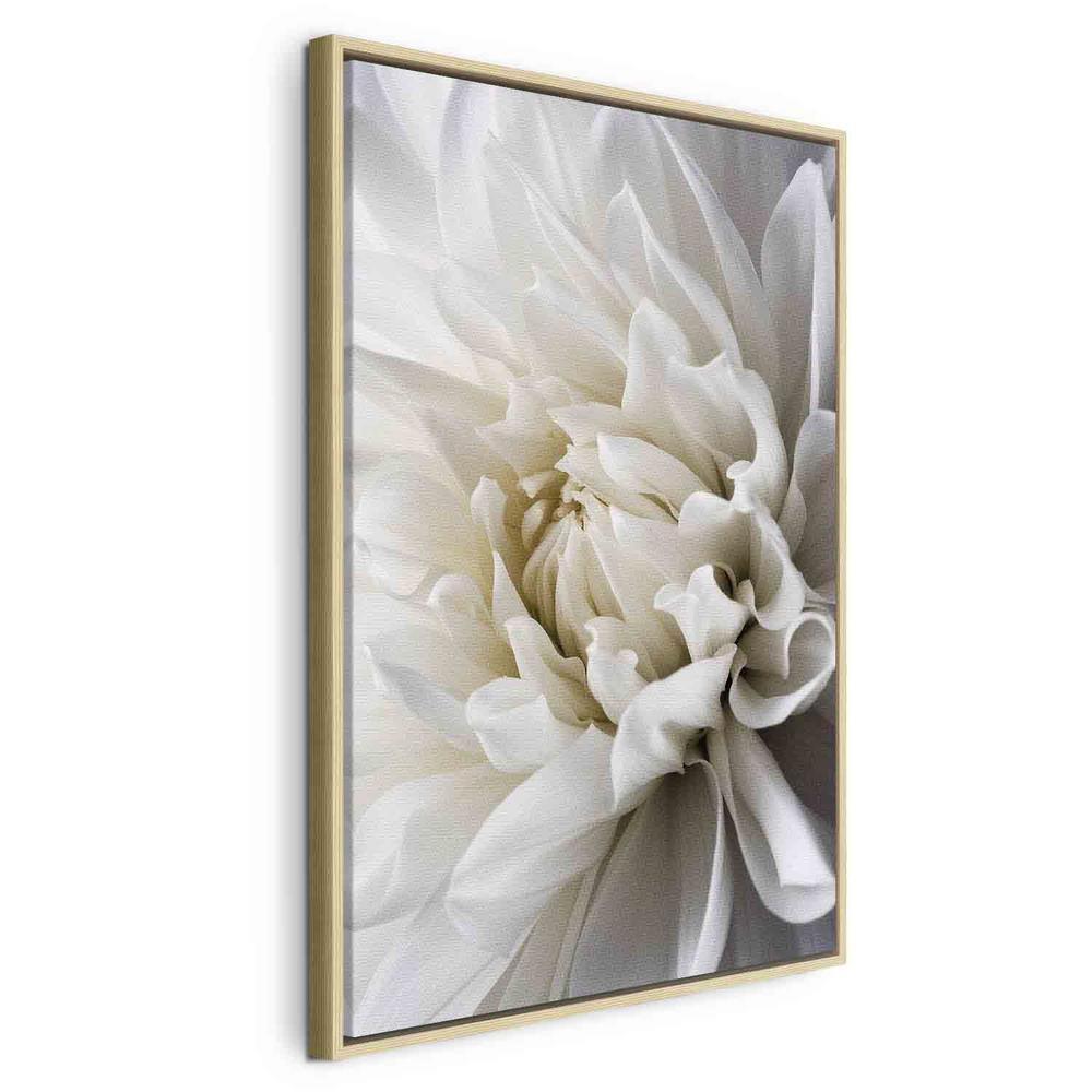 Canvas Print - White Dahlia