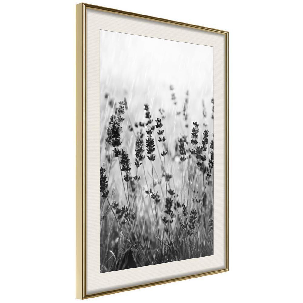 Botanical Wall Art - Shadow of Meadow-artwork for wall with acrylic glass protection