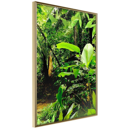 Framed Art - In the Rainforest-artwork for wall with acrylic glass protection