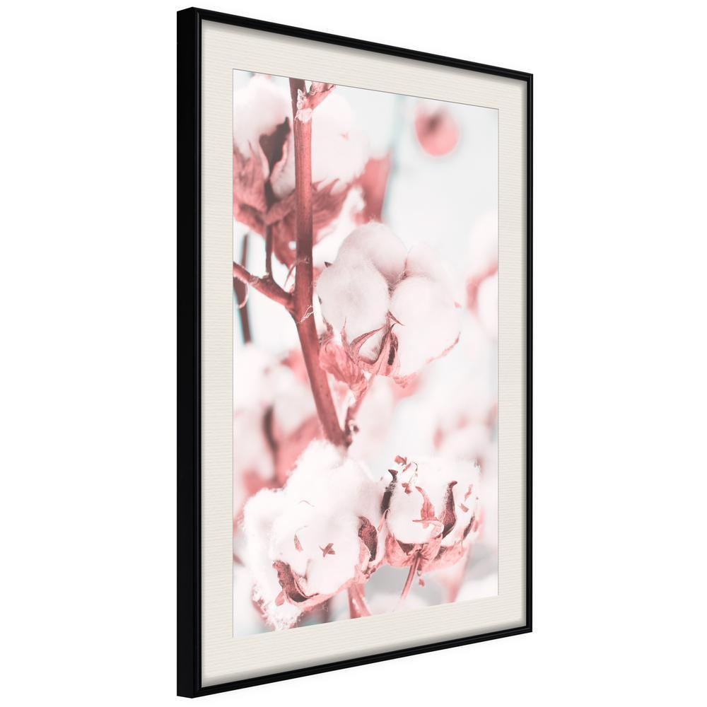 Botanical Wall Art - Cotton Flowers-artwork for wall with acrylic glass protection