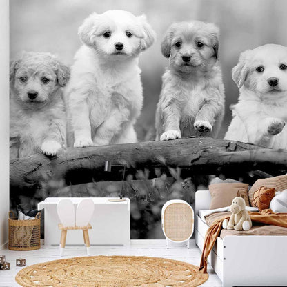 Wall Mural - Four Puppies