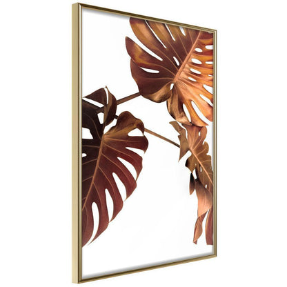 Botanical Wall Art - Copper Monstera-artwork for wall with acrylic glass protection