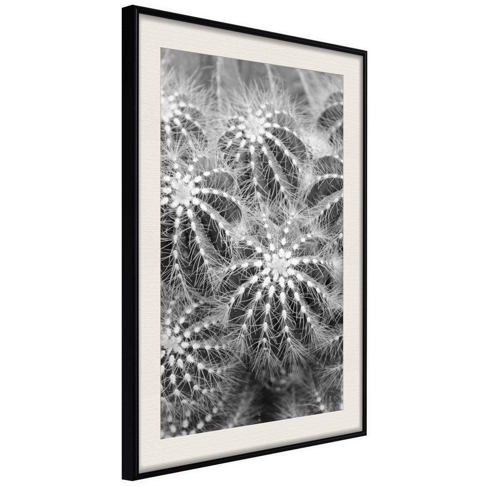 Botanical Wall Art - Do Not Touch-artwork for wall with acrylic glass protection