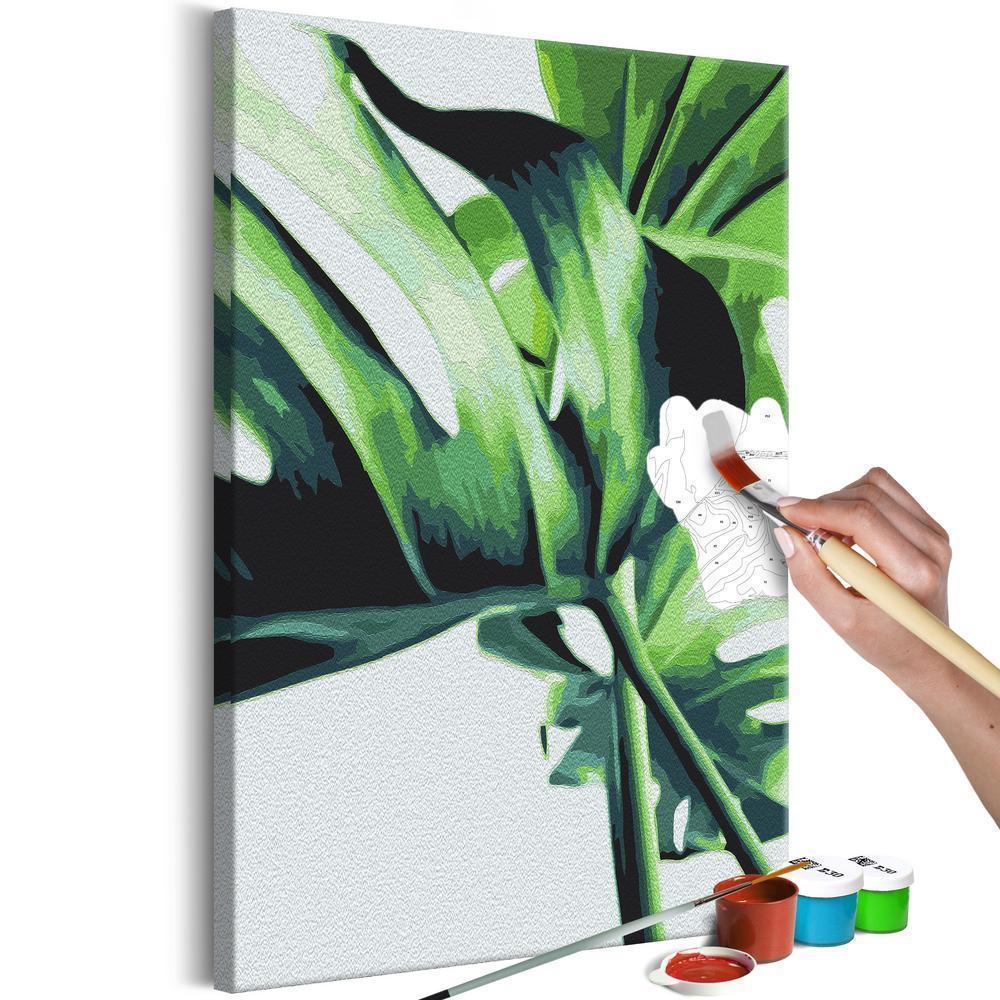 Start learning Painting - Paint By Numbers Kit - Monstera Adansonii - new hobby