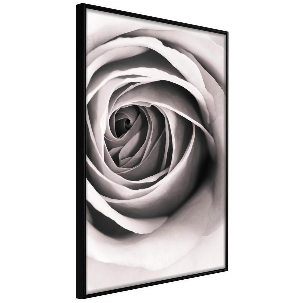 Botanical Wall Art - Structure of Petals-artwork for wall with acrylic glass protection