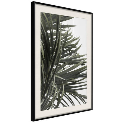 Botanical Wall Art - Little Tropics-artwork for wall with acrylic glass protection