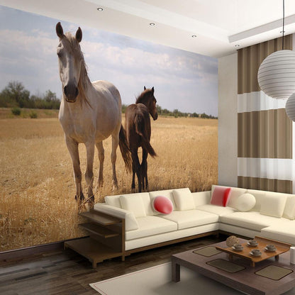 Wall Mural - Horse and foal-Wall Murals-ArtfulPrivacy