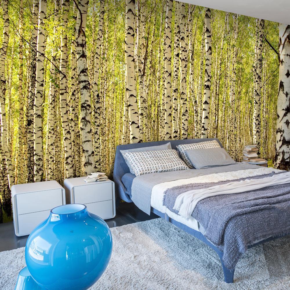 Wall Mural - Birch forest-Wall Murals-ArtfulPrivacy