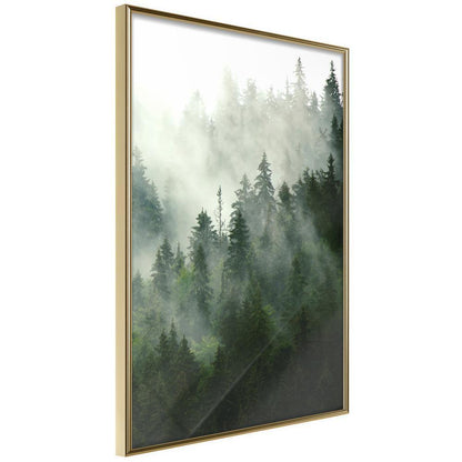 Framed Art - Steaming Forest-artwork for wall with acrylic glass protection