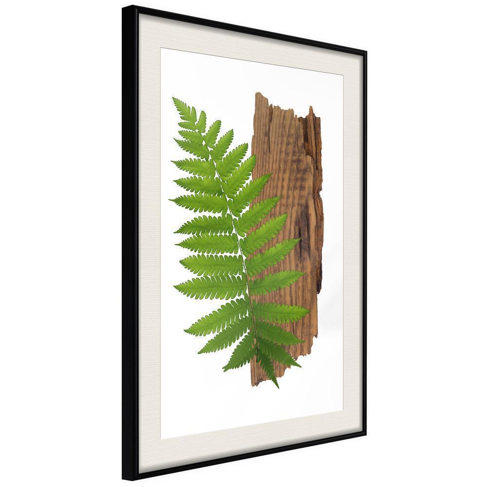 Botanical Wall Art - Expressive Ferm-artwork for wall with acrylic glass protection