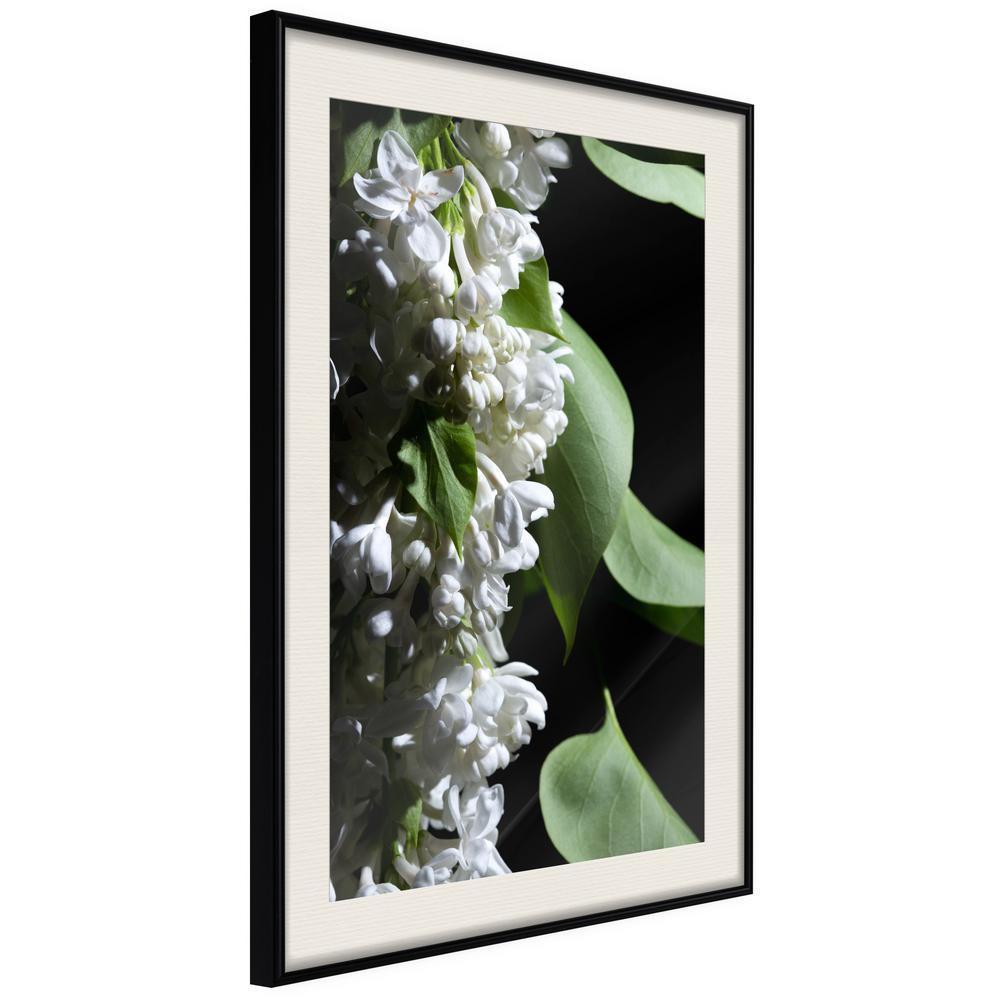 Botanical Wall Art - Fragrant Spring-artwork for wall with acrylic glass protection