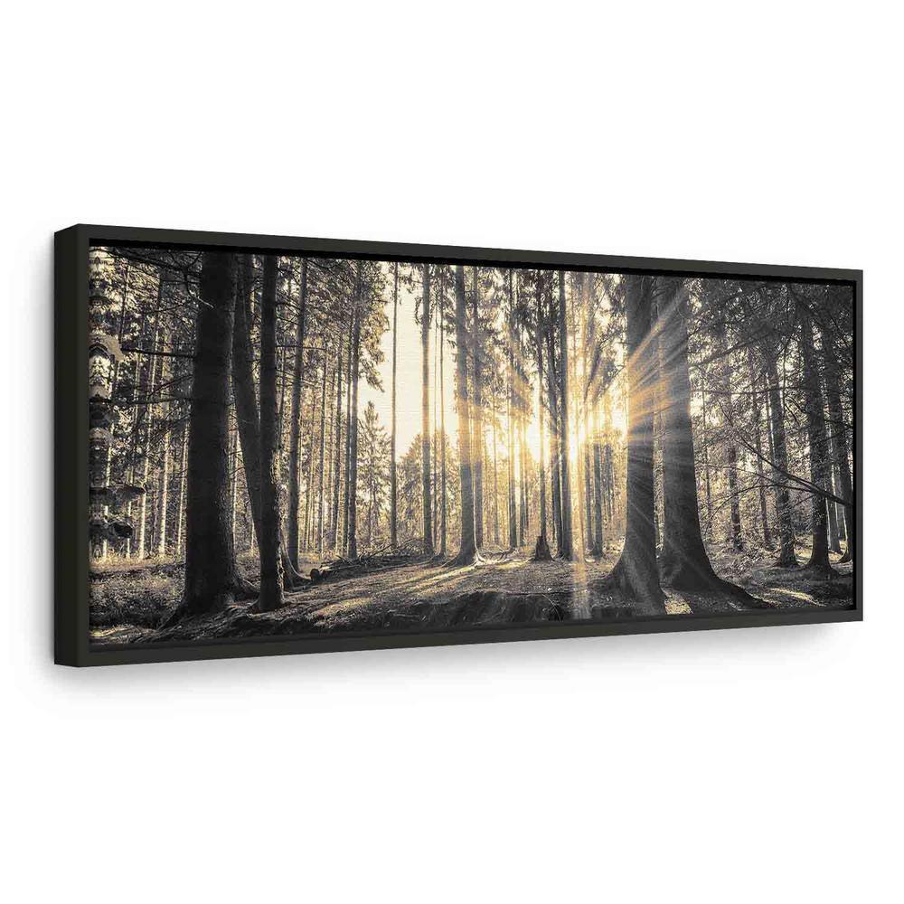 Canvas Print - Forest Sun