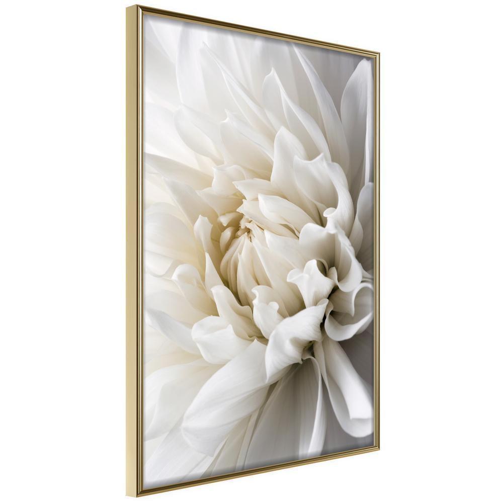 Botanical Wall Art - Peace of Mind-artwork for wall with acrylic glass protection