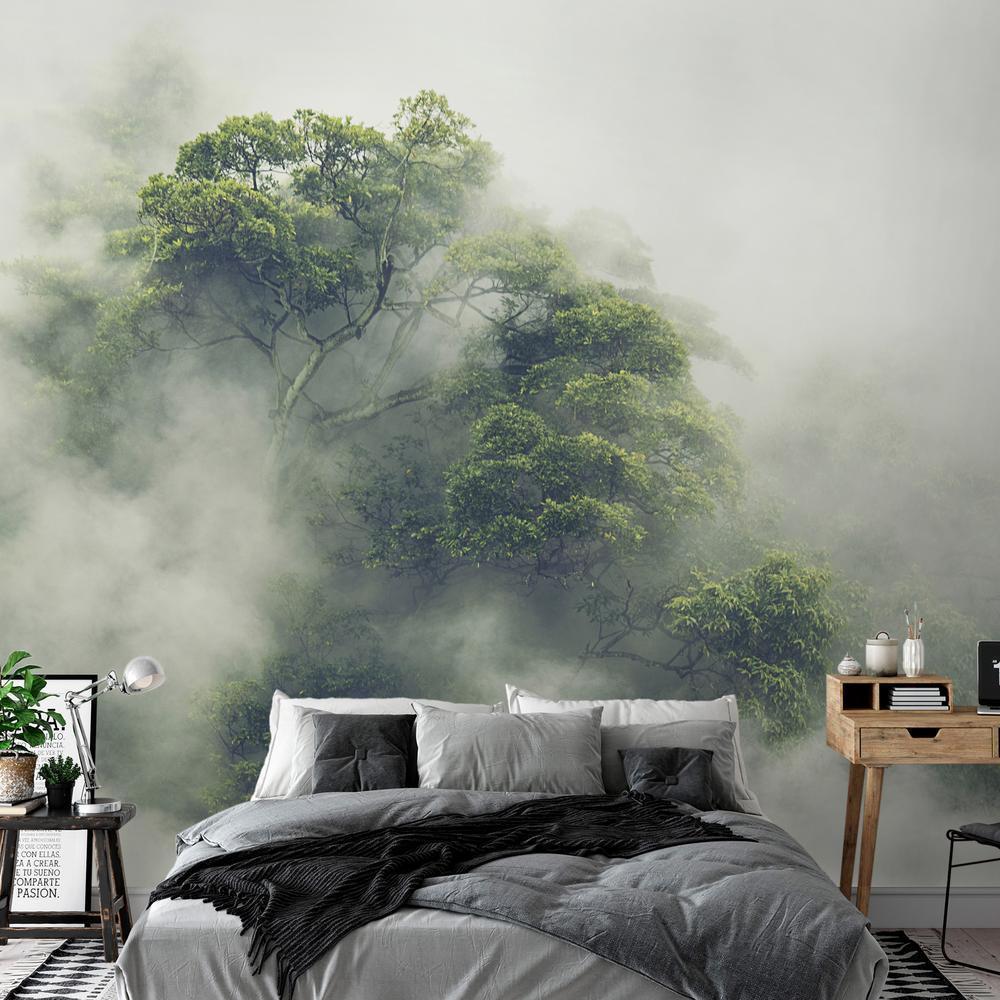 Wall Mural - Foggy Amazon