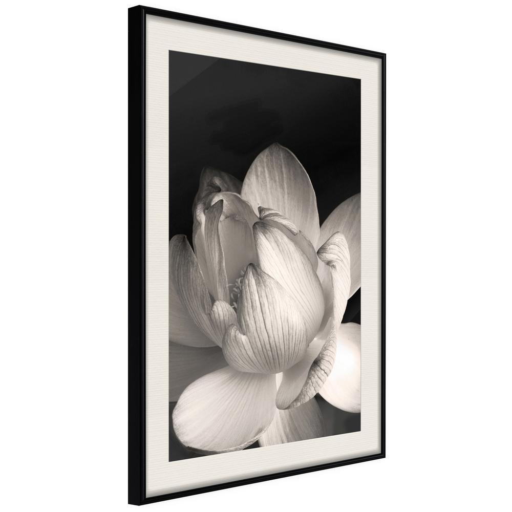 Botanical Wall Art - Delicacy of a Flower-artwork for wall with acrylic glass protection