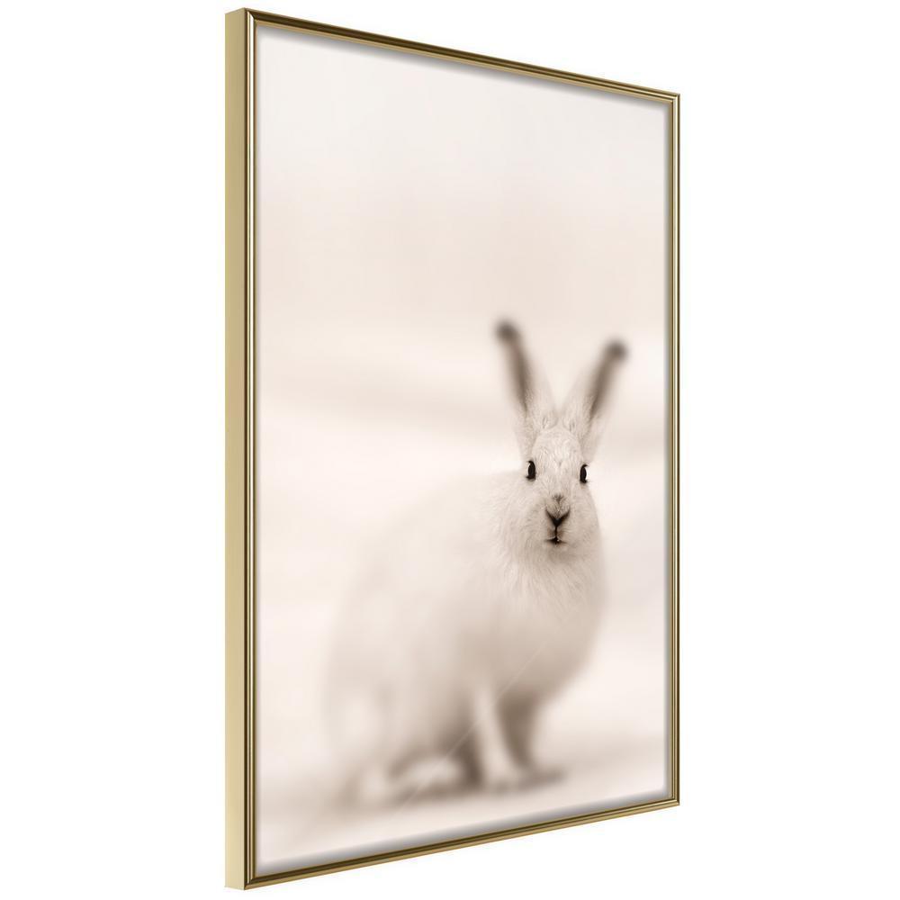 Frame Wall Art - Curious Rabbit-artwork for wall with acrylic glass protection