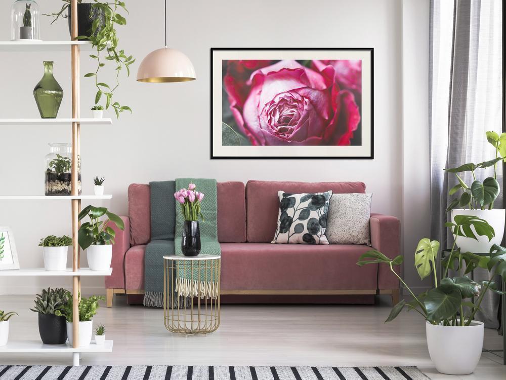 Botanical Wall Art - Blooming Rose-artwork for wall with acrylic glass protection