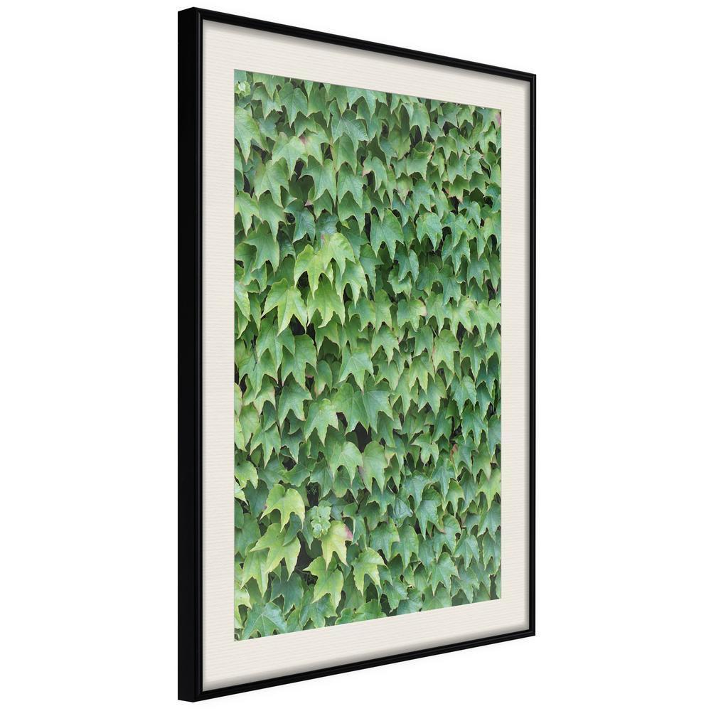 Botanical Wall Art - Hidden-artwork for wall with acrylic glass protection