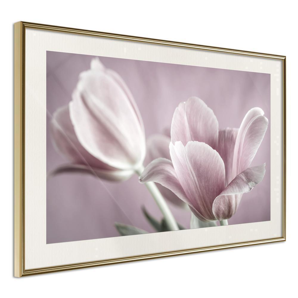 Botanical Wall Art - Pastel Tulips I-artwork for wall with acrylic glass protection