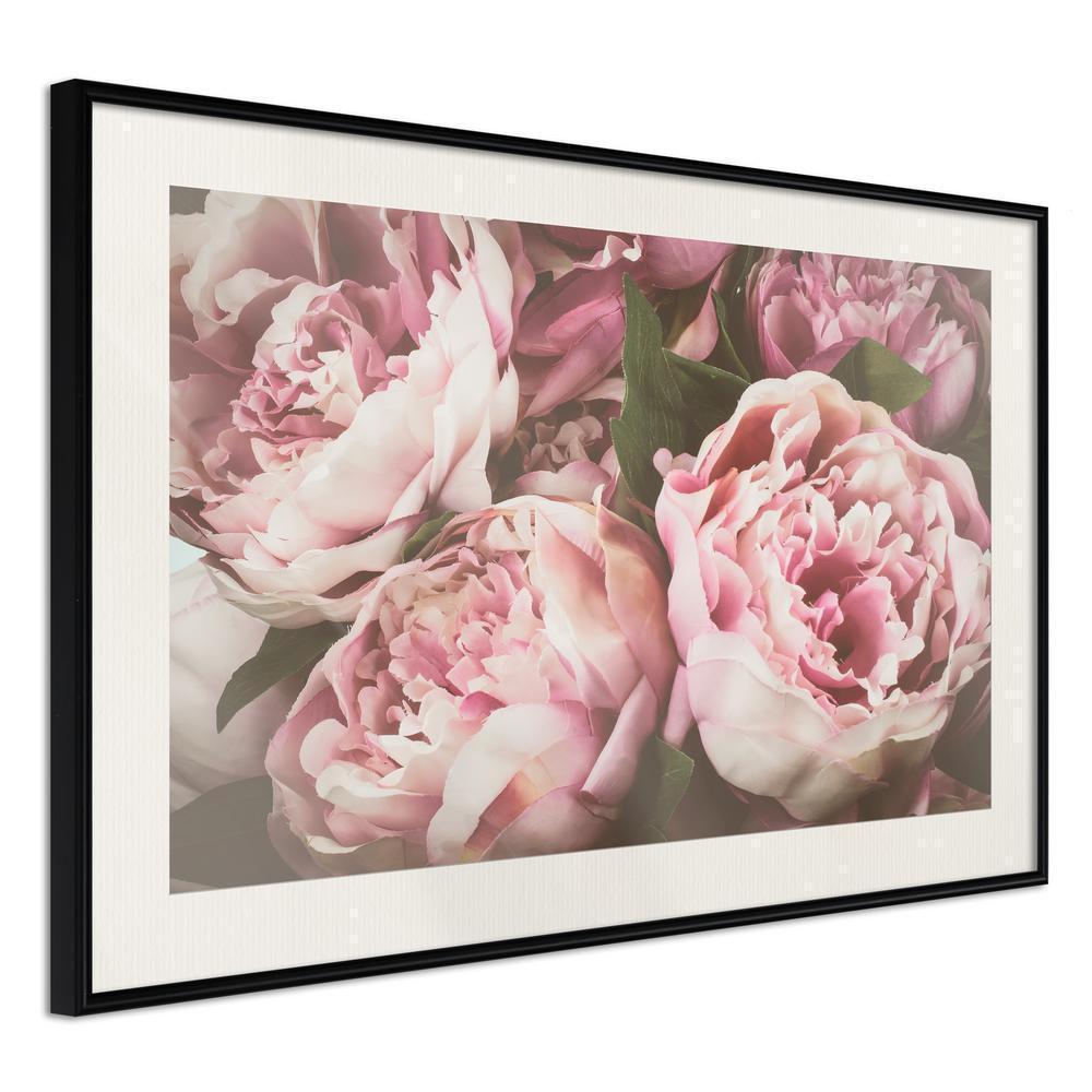 Botanical Wall Art - Pastel Peonies-artwork for wall with acrylic glass protection