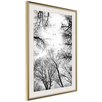 Winter Design Framed Artwork - Treetops-artwork for wall with acrylic glass protection
