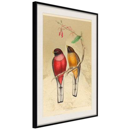 Frame Wall Art - Ornithologist's Drawings-artwork for wall with acrylic glass protection