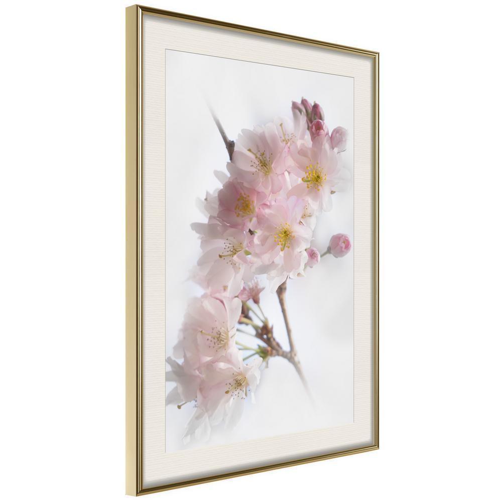 Botanical Wall Art - Scent of Spring-artwork for wall with acrylic glass protection