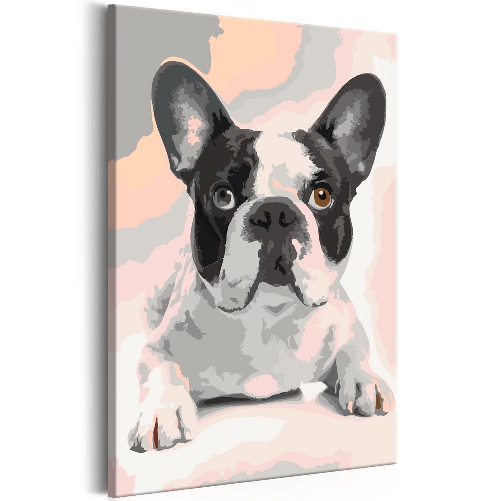 Start learning Painting - Paint By Numbers Kit - French Bulldog - new hobby