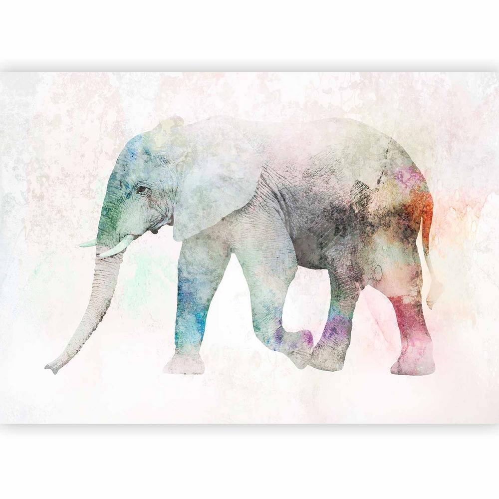 Wall Mural - Painted Elephant