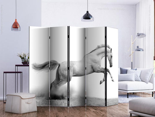 Decorative partition-Room Divider - White gallop II-Folding Screen Wall Panel by ArtfulPrivacy
