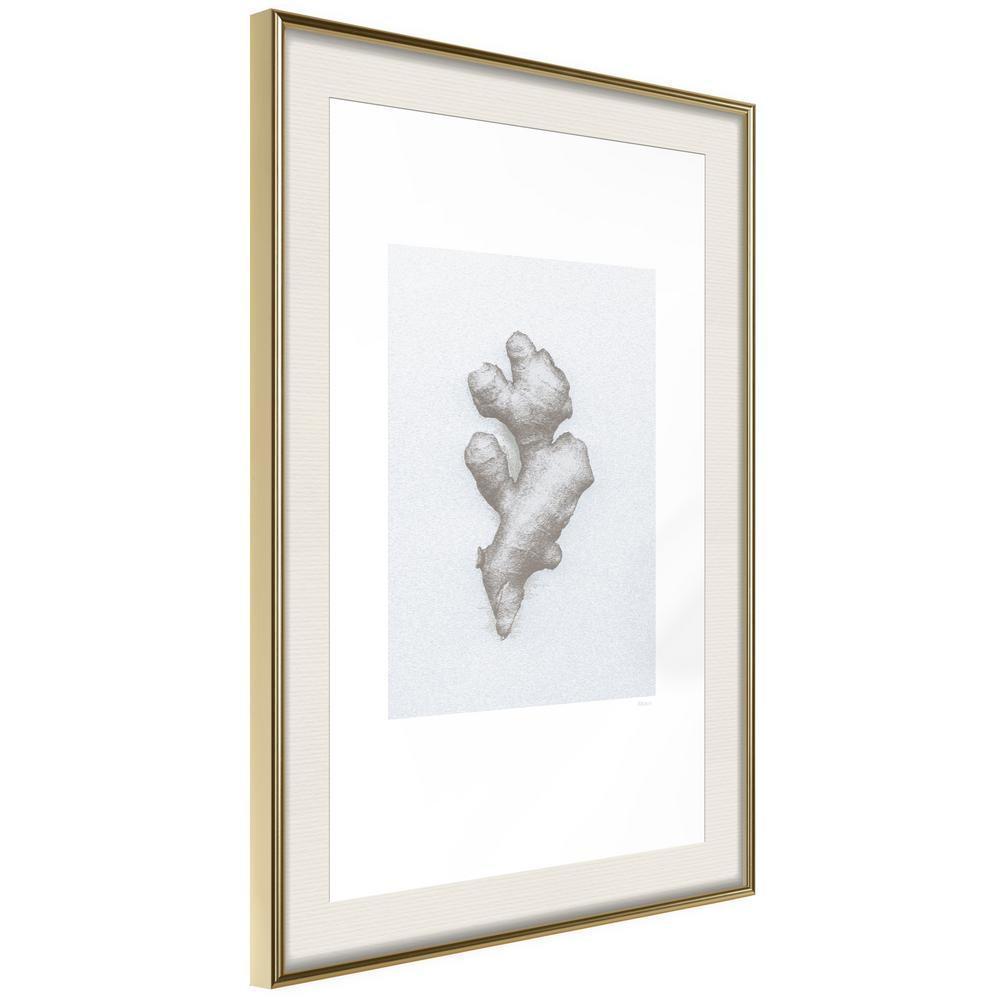 Black and White Framed Poster - Ginger Rhizome-artwork for wall with acrylic glass protection