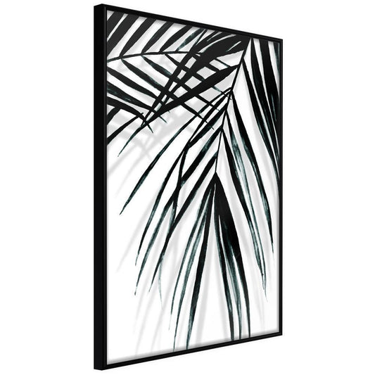 Botanical Wall Art - Leaf and Its Shadow-artwork for wall with acrylic glass protection