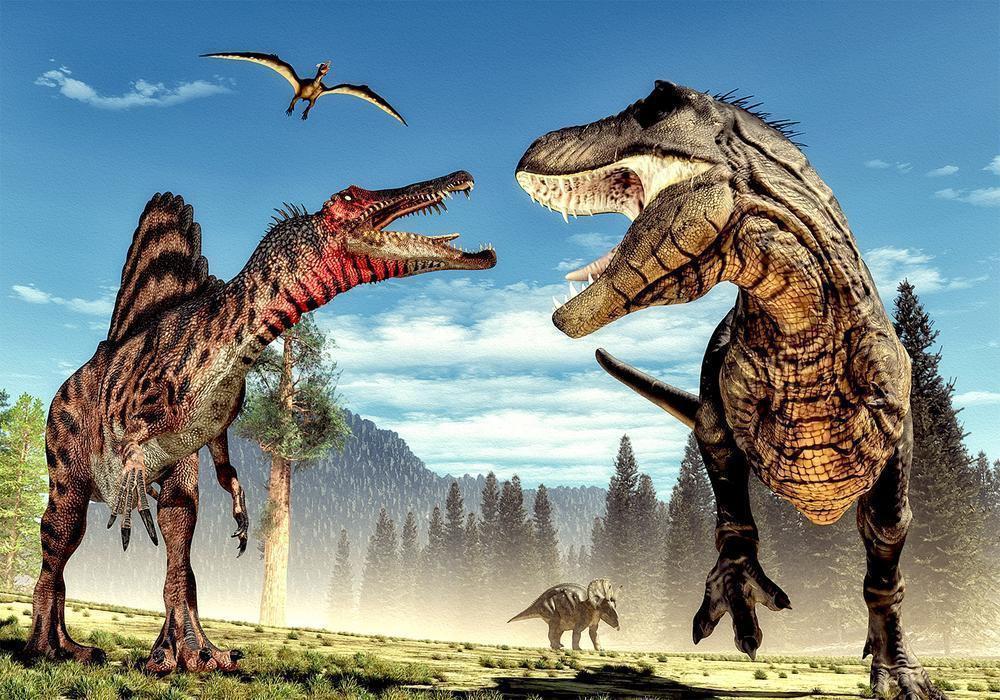 Wall Mural - Fighting Dinosaurs-Wall Murals-ArtfulPrivacy